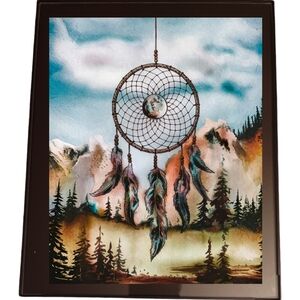 Dreamcatcher In A Glass Front Frame 8x10 Picture AI wall